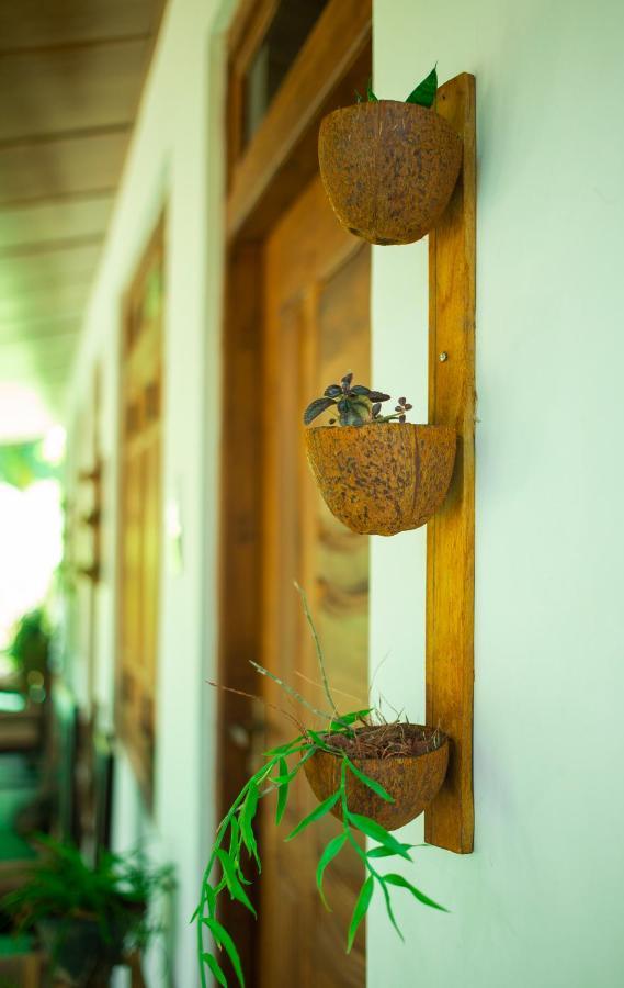 Dambulla Kings Inn 外观 照片