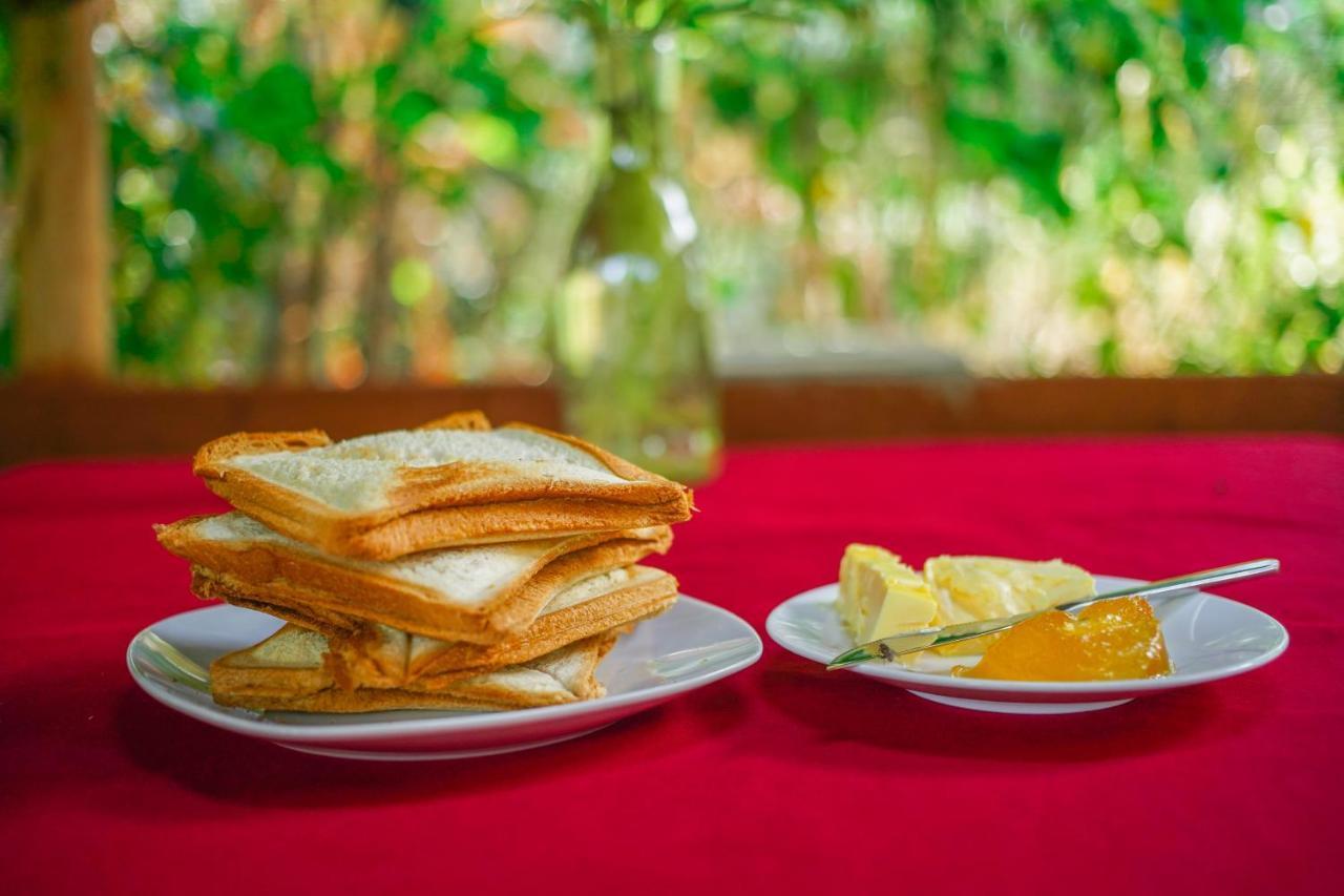 Dambulla Kings Inn 外观 照片
